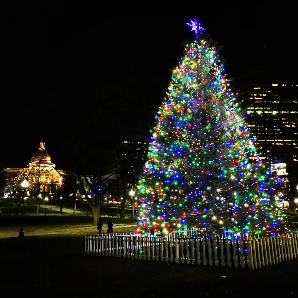 La 80.a ceremonia anual de iluminación del árbol común de Boston, el árbol de Nueva Escocia ( 2021) foto:@BostonTweet