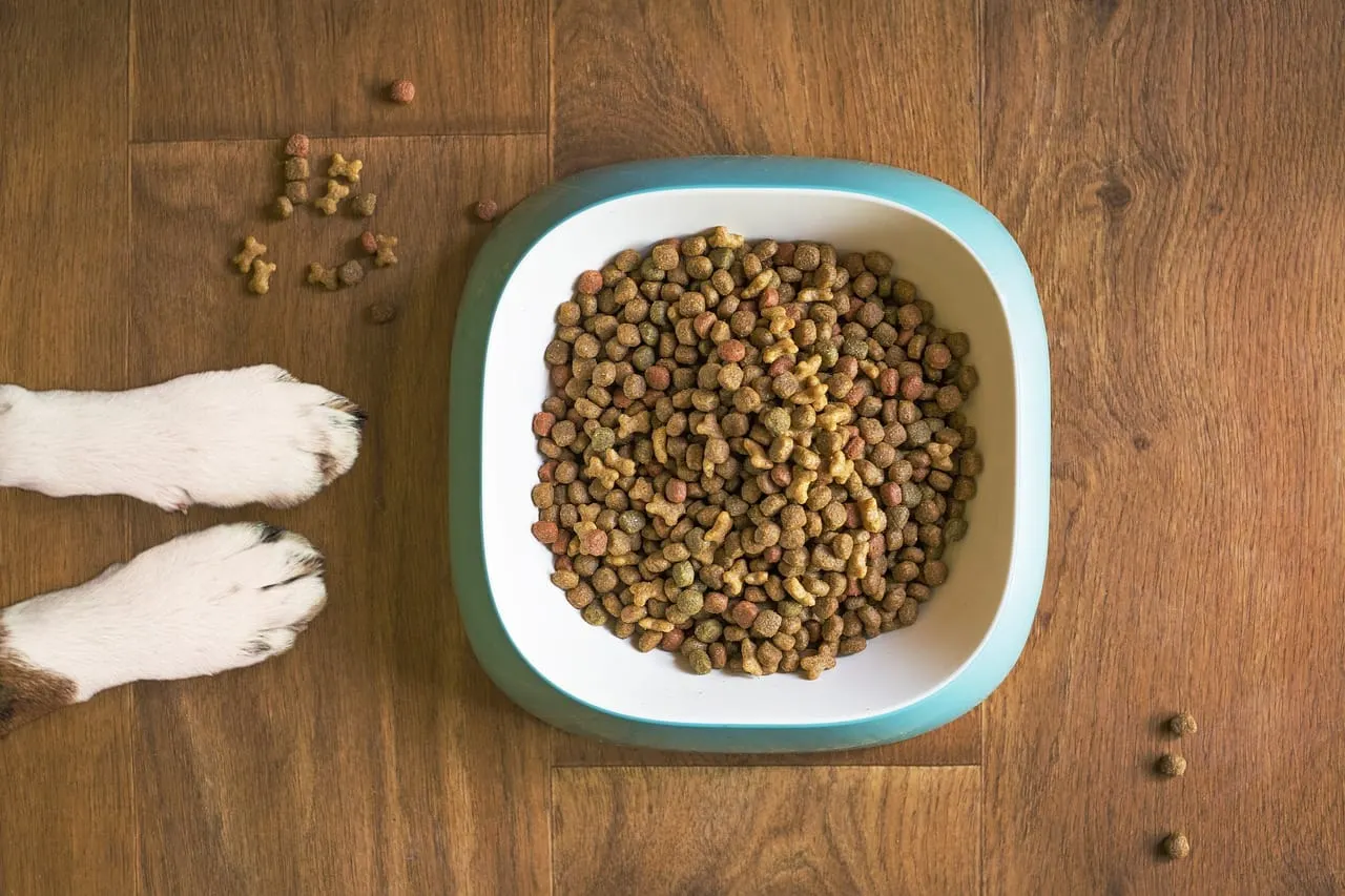 Organizaciones en Salem proporcionan ayuda con alimentos para las mascotas de familias necesitadas