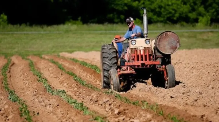La agricultura es uno de los trabajos que generan más accidentes laborales en latinos | Foto: Pexels