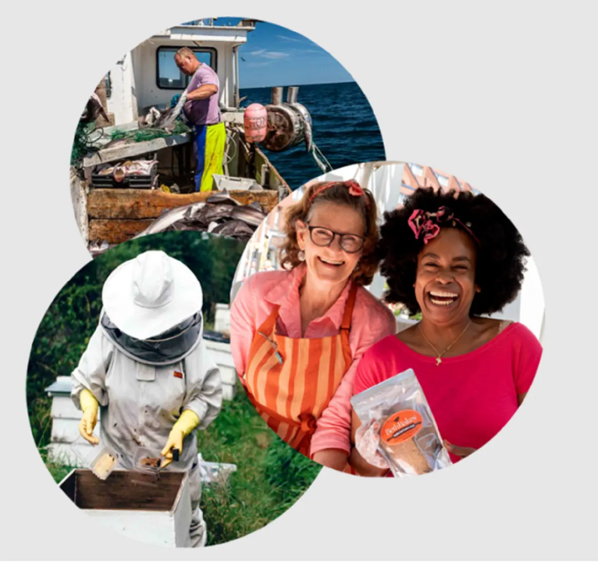 8 empresas de Massachusetts reconocidas en los Sustainable Business Awards