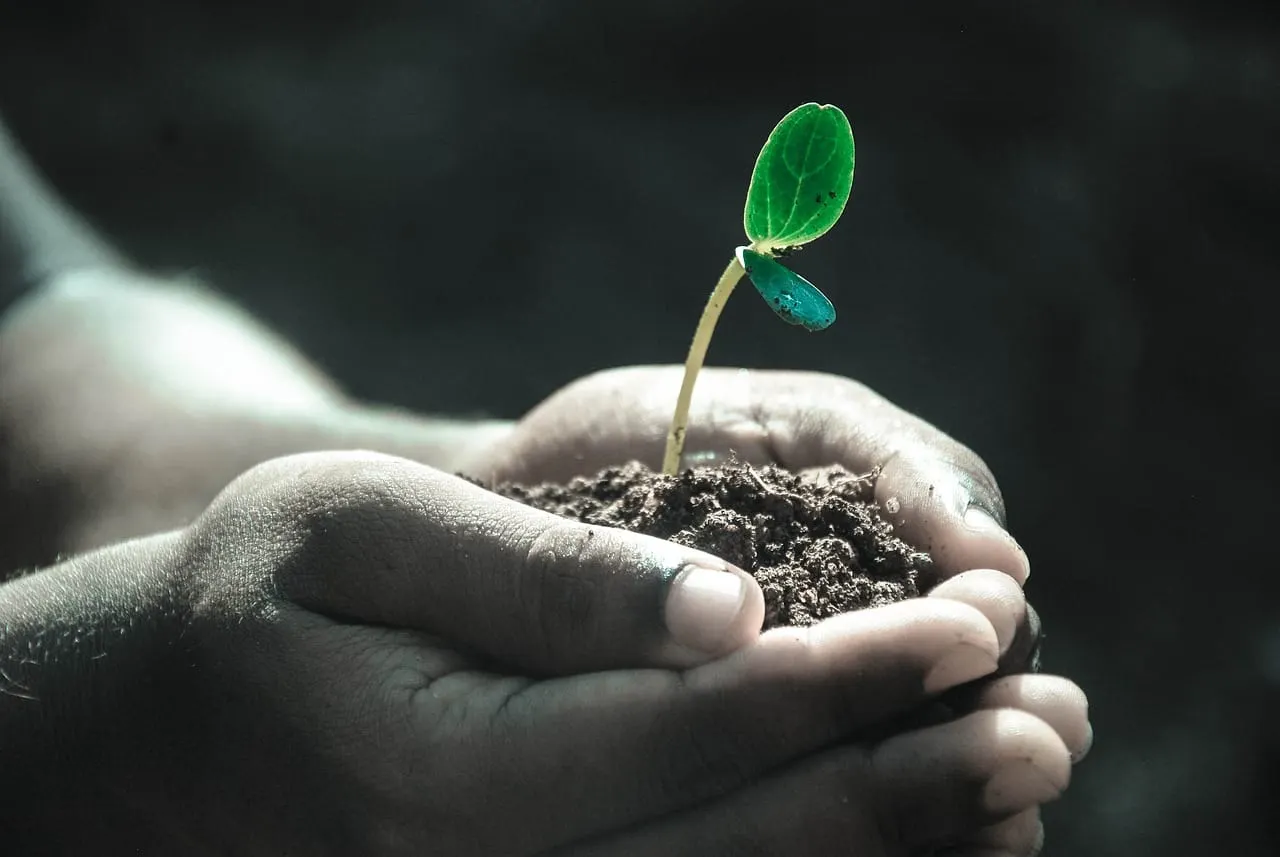 Para crecer, hay que saber dar y recibir