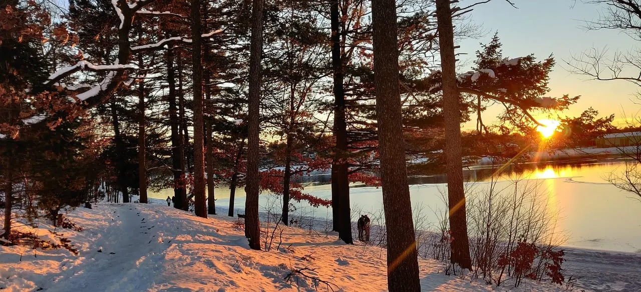 Nueva tormenta invernal podría llegar a Massachusetts la próxima semana
