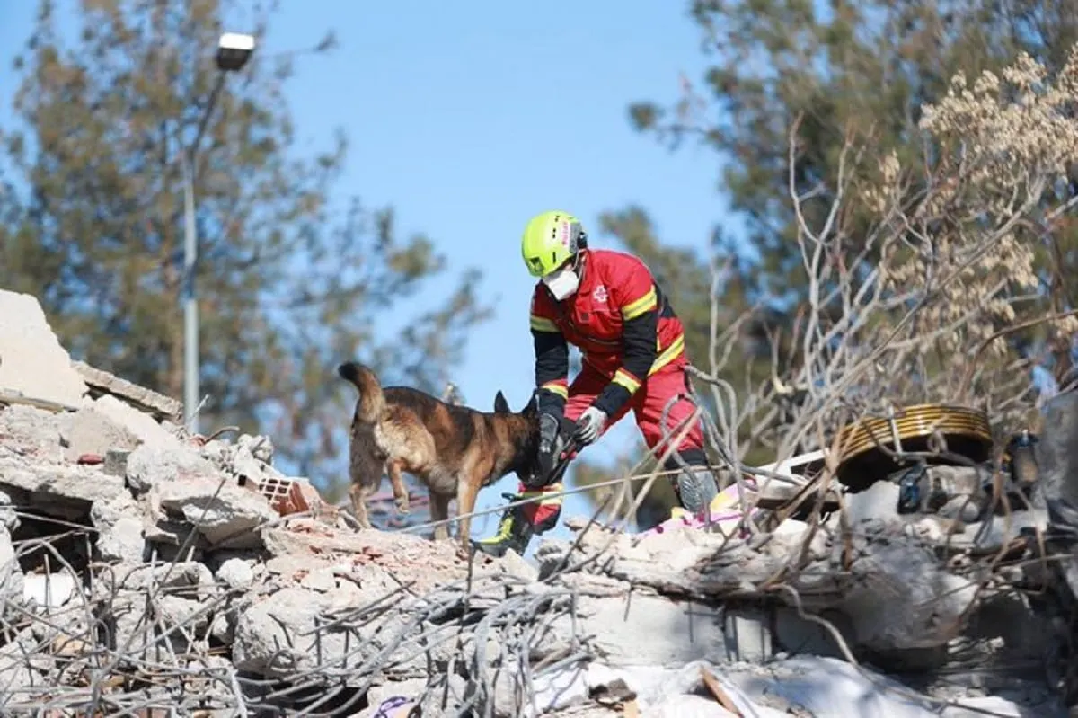 Así avanza la misión de rescate canina que México envió a Turquía tras el terremoto