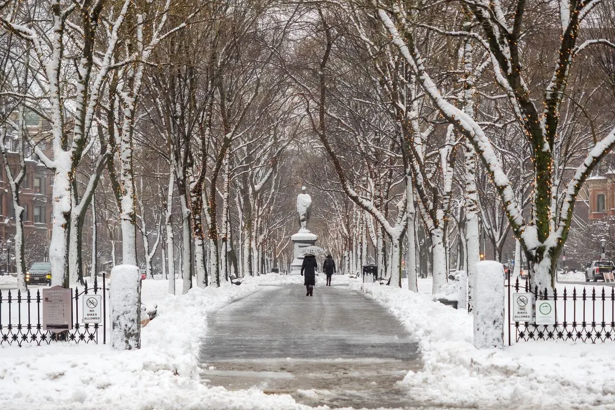 Tormenta invernal llegará a Massachusetts este miércoles