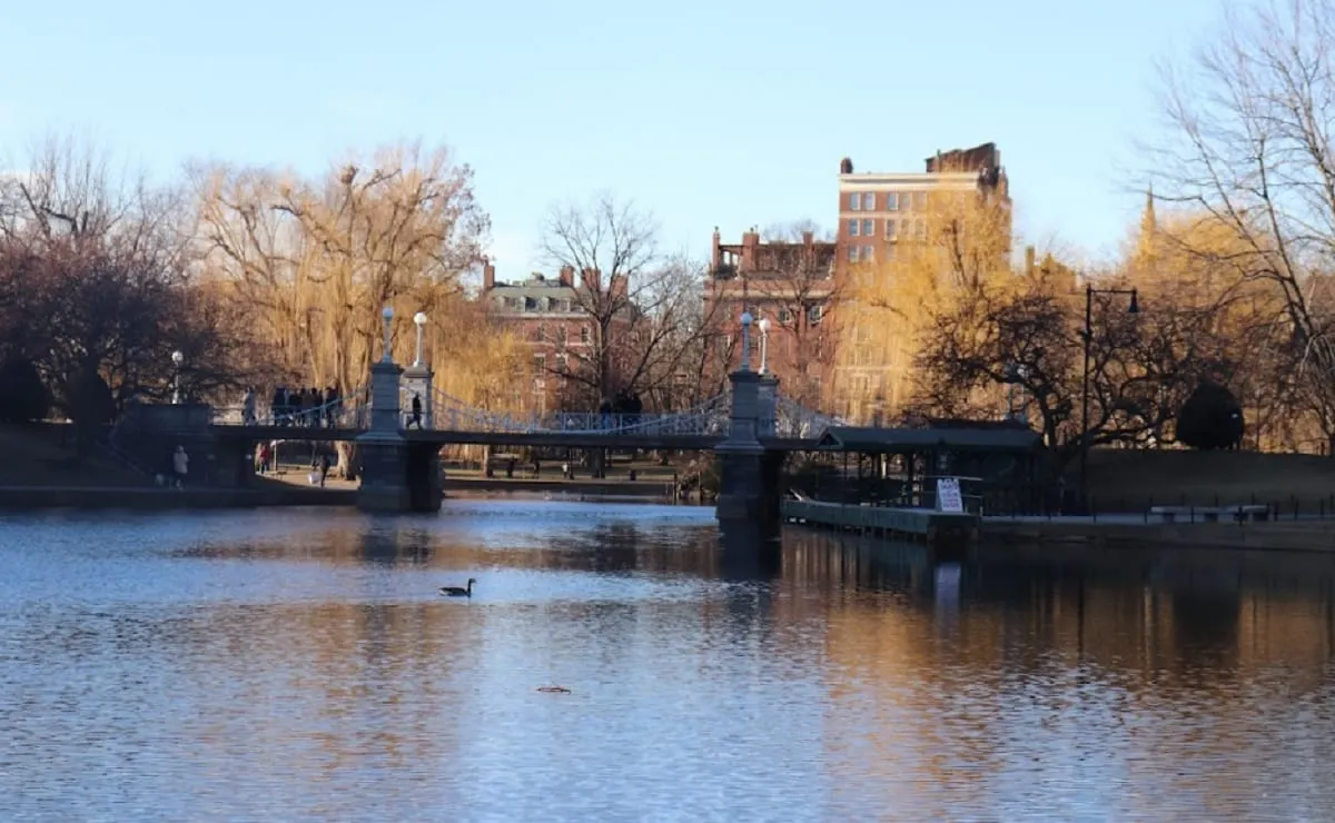 Migrantes climáticos prefieren a Boston como destino en EE. UU.