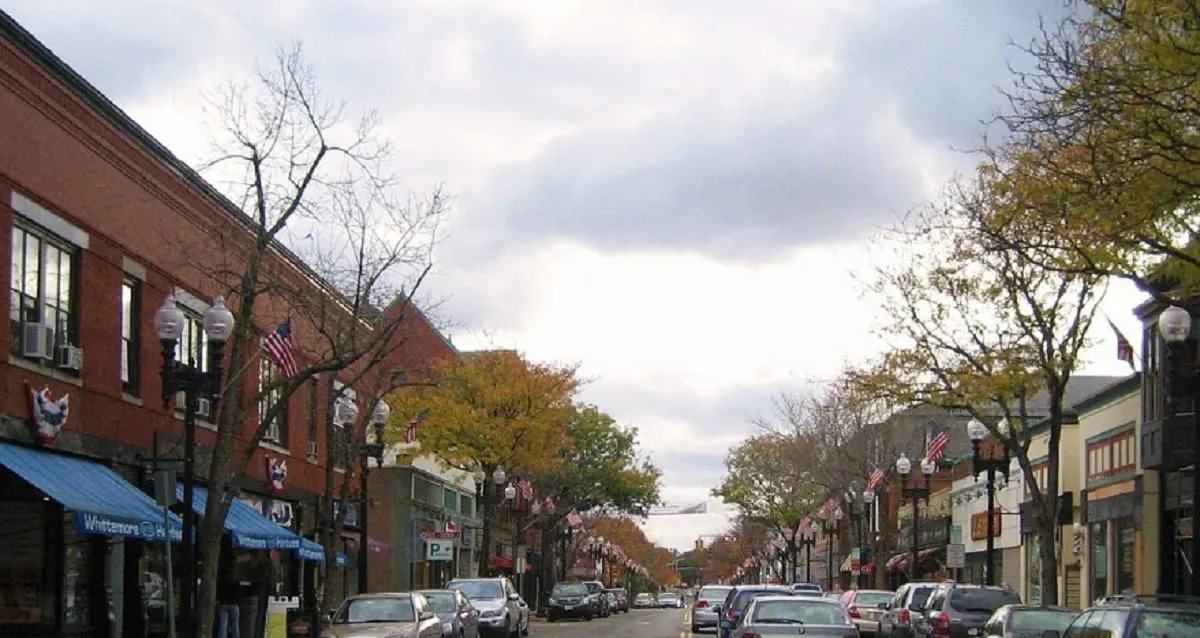 Sam Hammar anuncia candidatura para alcaldesa de Melrose