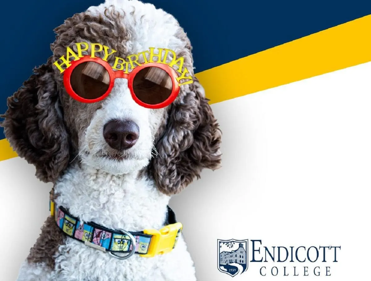 Endicott College celebra el cumpleaños del querido Gary este jueves