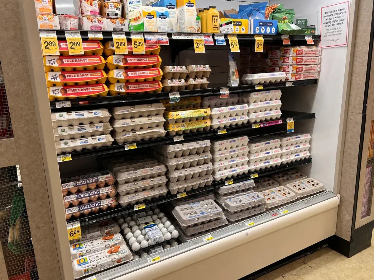 HUEVOS. El brote de gripe aviar “redujo la producción de huevos, y elevó los precios a su récord histórico en 2022”. | Foto: