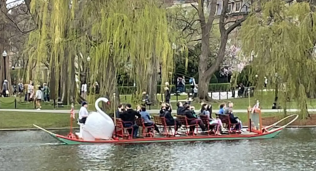 Los Swan Boats regresan al Boston Public Garden el 15 de abril