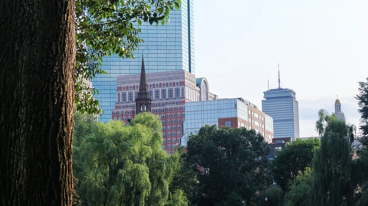 La alcaldesa Wu anuncia programa para el mantenimiento del dosel de árboles en zonas privadas