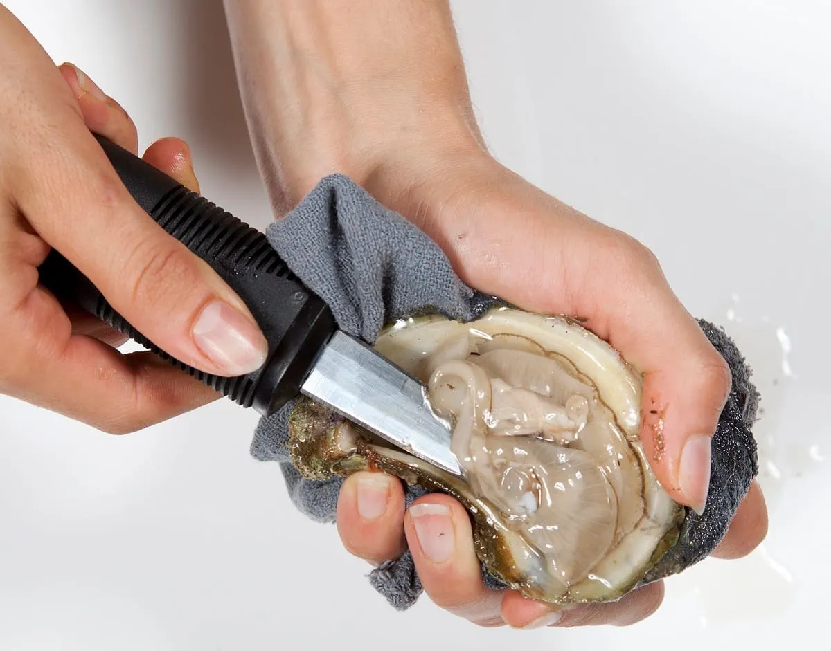 ¿Comer ostras causa enfermedades? Entérate