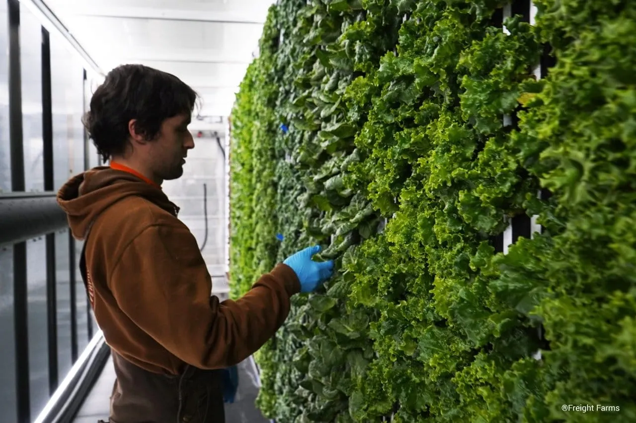 Las granjas inteligentes se pueden llevar a cualquier parte del mundo. Imagen de Freight Farms