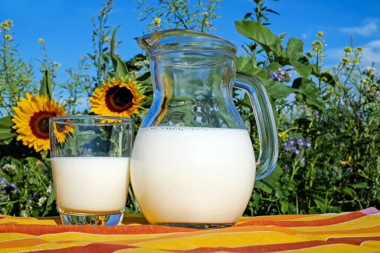 Más estados legalizan la venta de leche sin pasteurizar, a pesar de las advertencias sanitarias