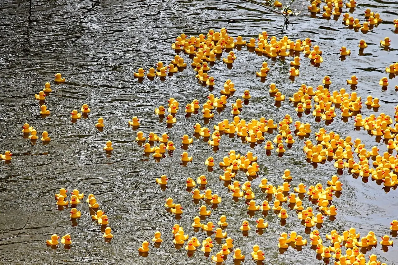 Duck Derby 2023 promete diversión y apoya proyectos ecológicos