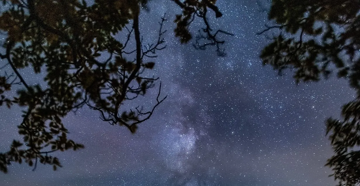 No te pierdas la próxima lluvia de estrellas Oriónidas en octubre