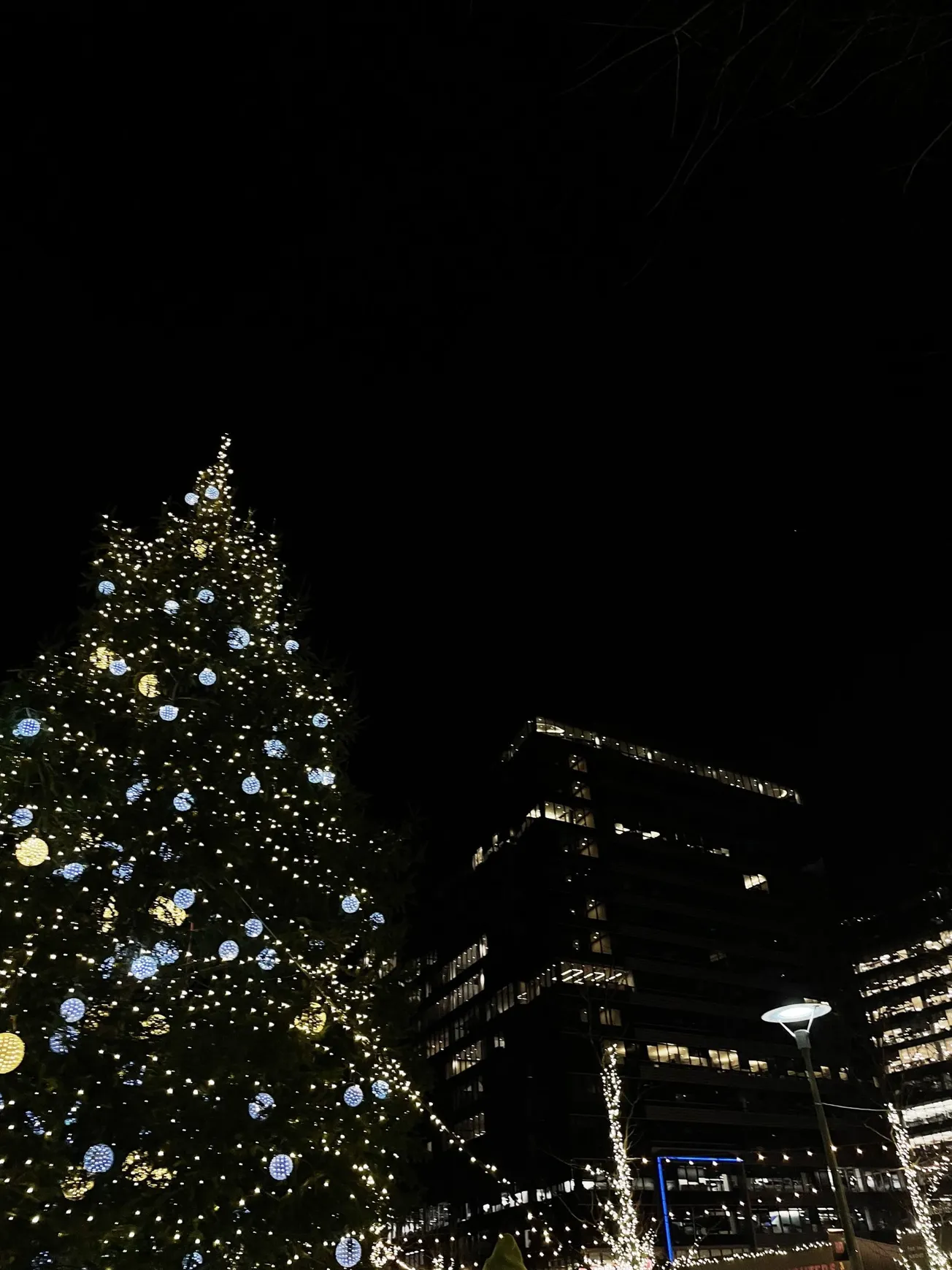 Cuarta edición de Snowport en el 2022. Foto: Magdalena Bolinaga.