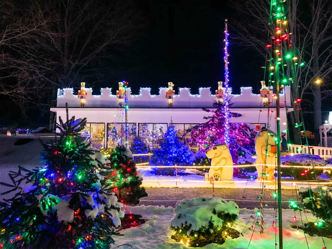 Evento anual navideño ZooLights del Zoo New England en el Stone Zoo. Foto: Cortesía del Zoo New England.
