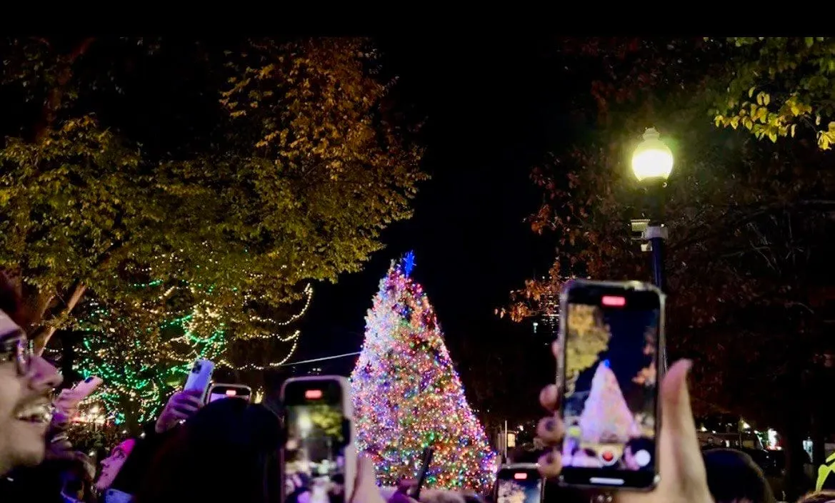 El árbol oficial del Annual Tree Lighting en el Boston Common se enciende a las 8:00 p.m. seguido por fuegos artificiales. Fo