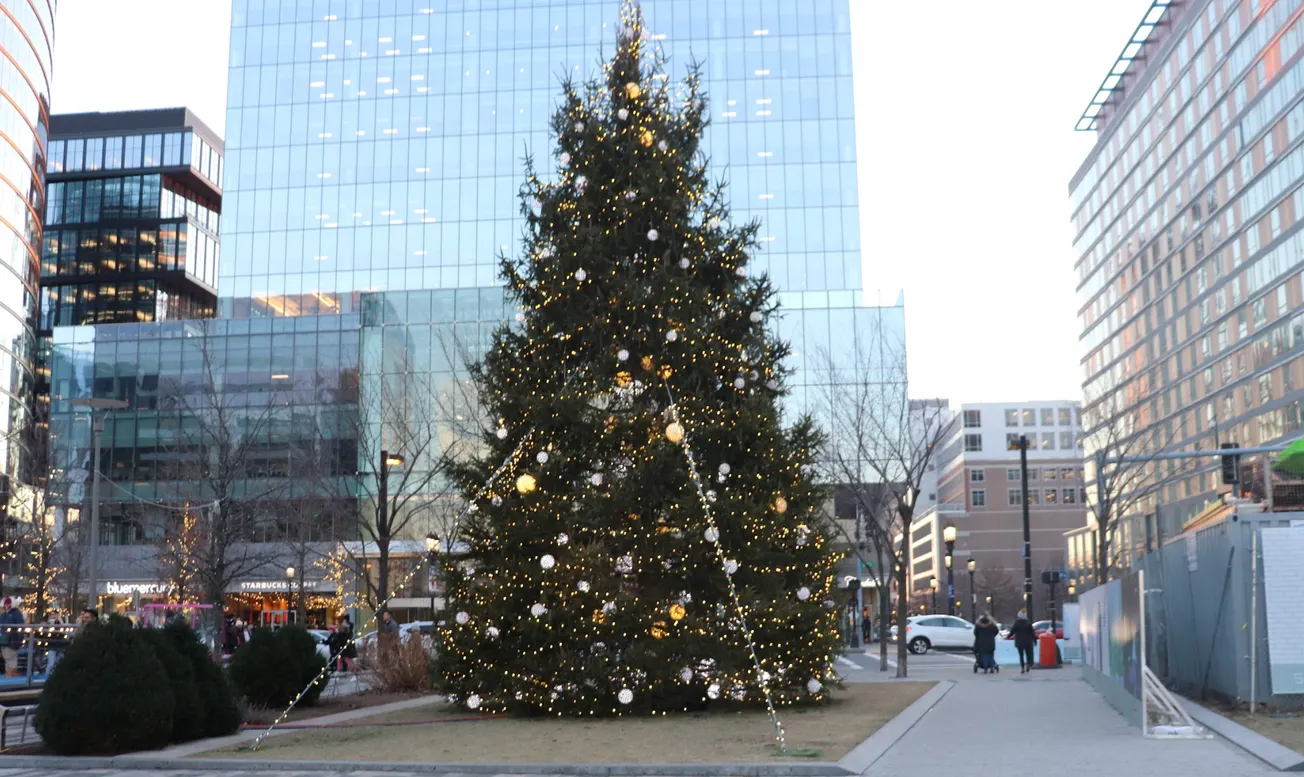 Antes de desechar o reciclar su árbol de Navidad, retire todas las decoraciones y luces, como aconseja Lowe's. Foto: Claudia
