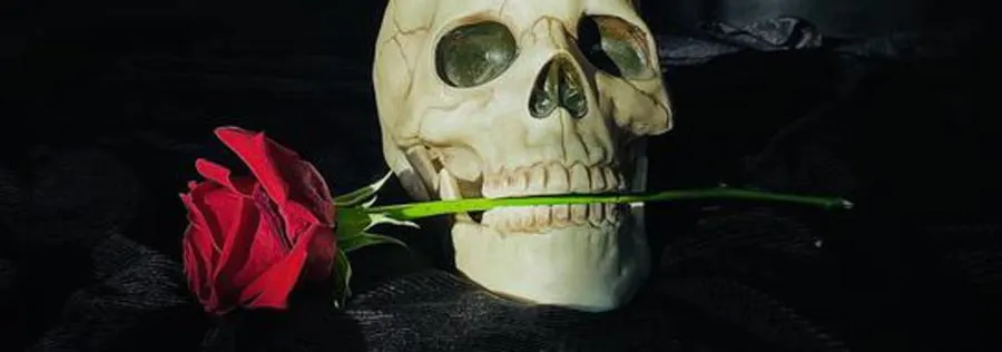 Tour en Salem ofrece una opción diferente en San Valentín