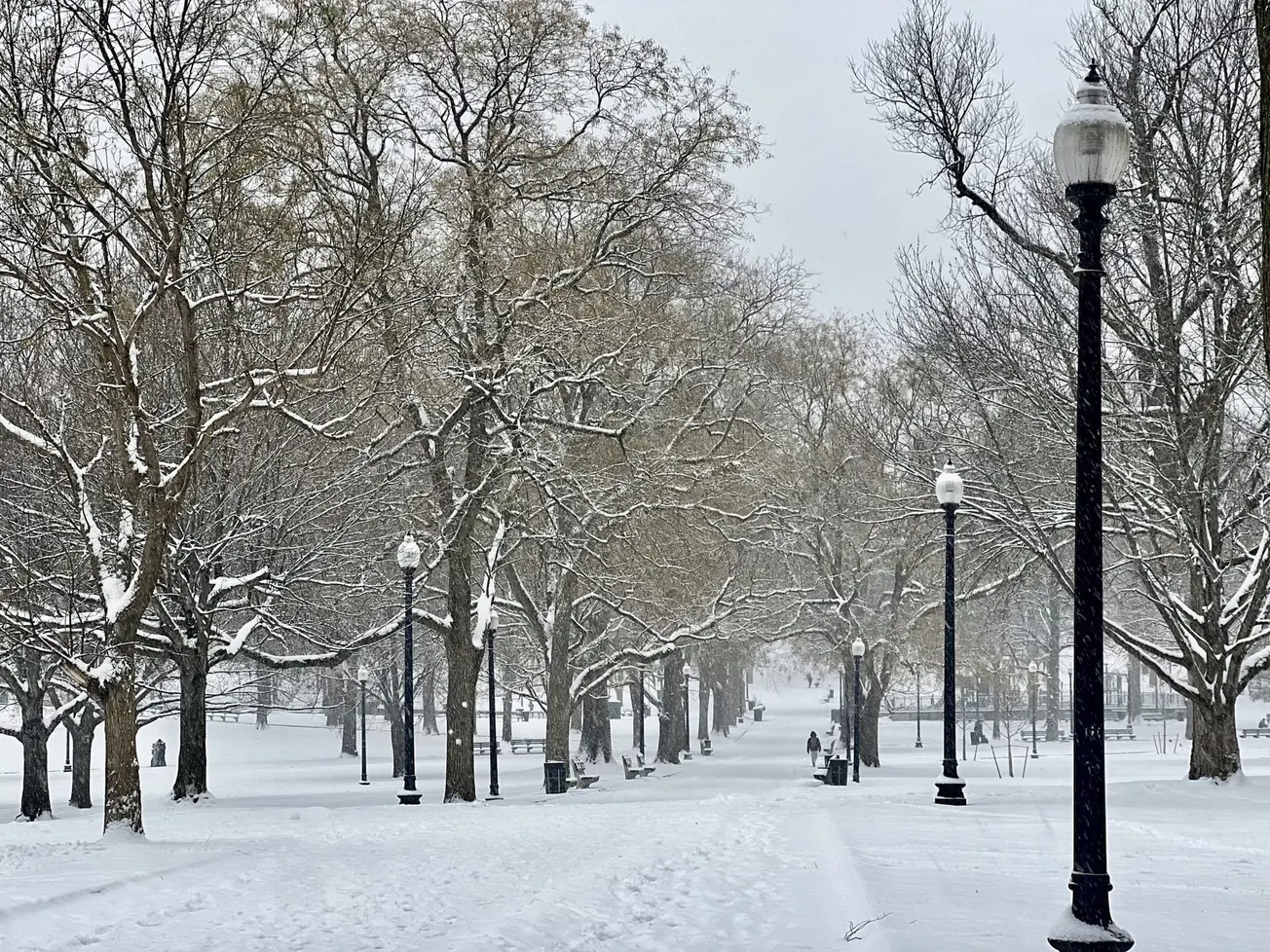El frío polar extremo ha generado estragos en más de 30 estados de Estados Unidos. Foto: Rosanna Marinelli.