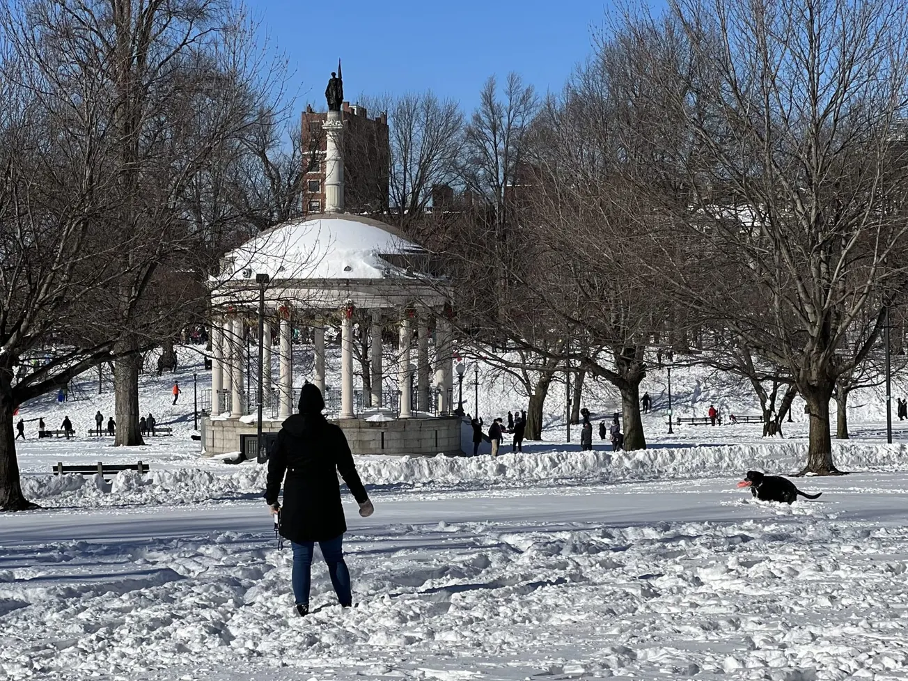 Nevada en Boston. Foto: Rosanna Marinelli.
