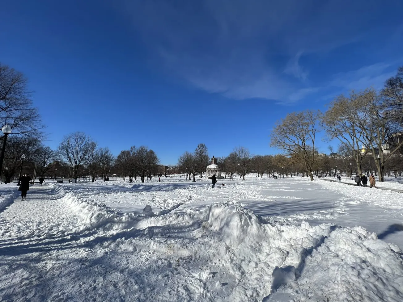 Invierno en Boston. Foto: Rosanna Marinelli.