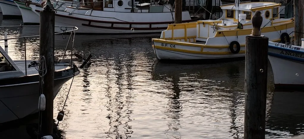 Rescatan a 4 personas luego que el bote volcara en Cape Cod