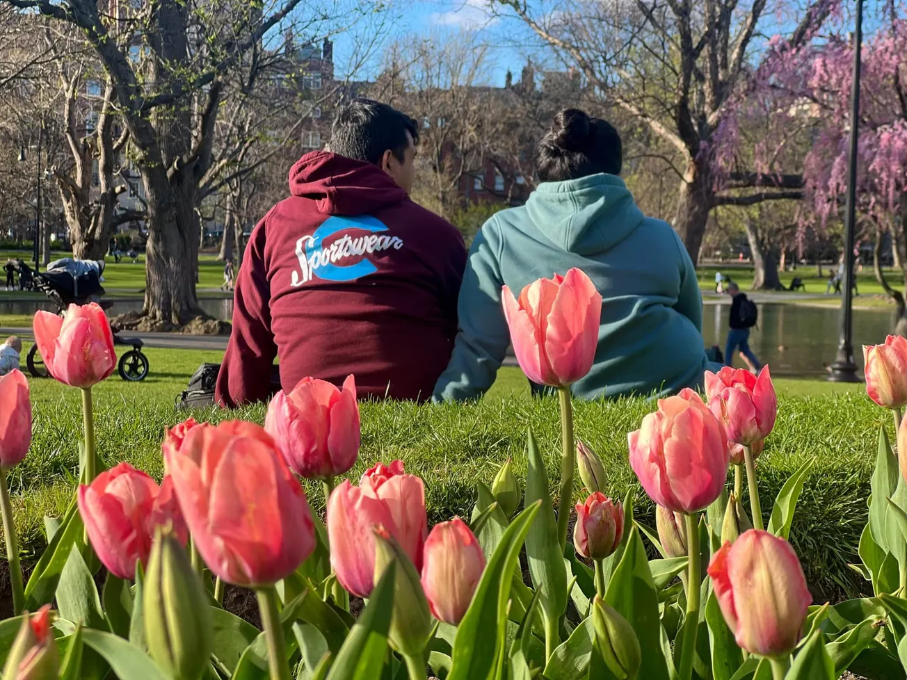 Luego de este día soleado, las lluvias regresarán el resto de la semana