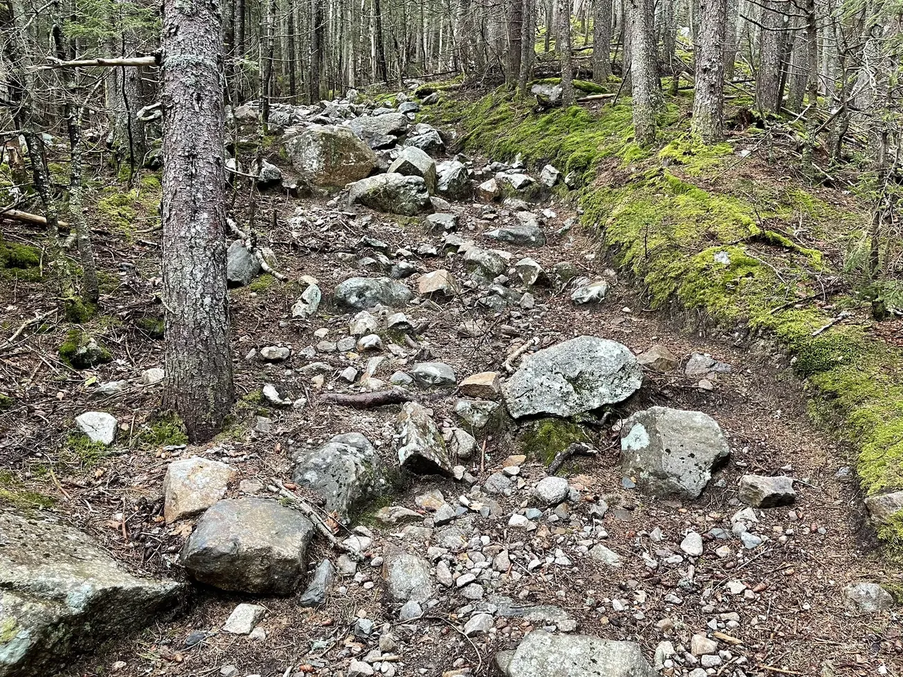Varios jóvenes excursionistas de Boston son rescatados tras quedar atrapados en Franconia Notch