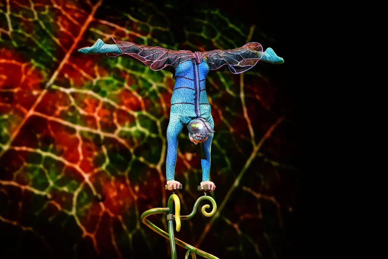 Cirque du Soleil llega a Boston este verano, recordándonos la magia del ciclo de la vida