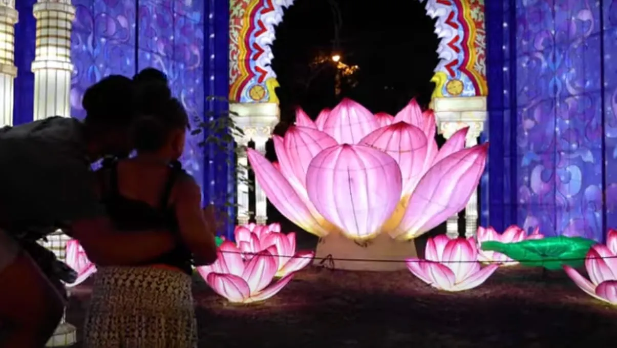 La experiencia Boston Lights en el Franklin Park Zoo continua esta temporada