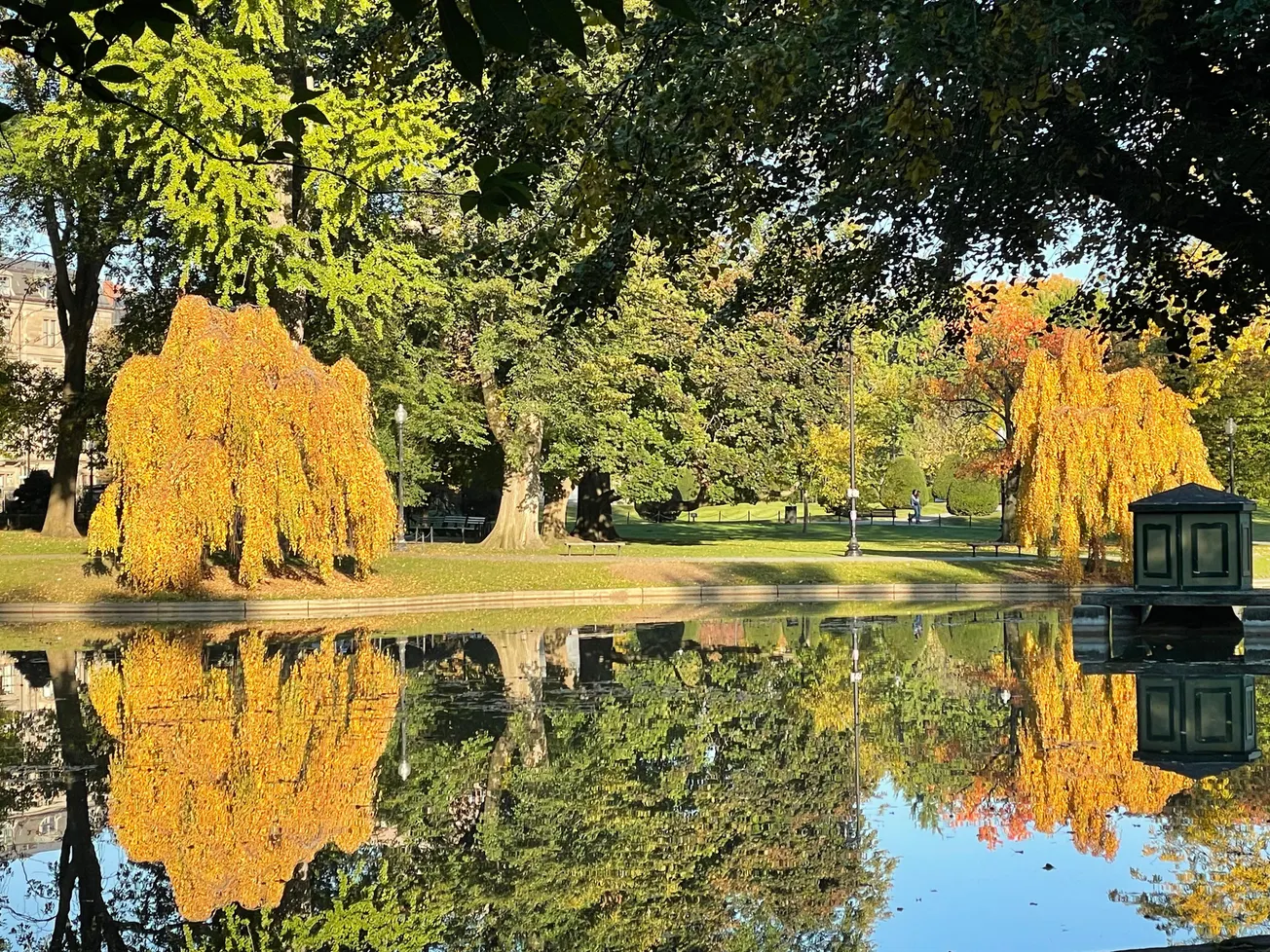 ¿Qué hacer en Boston esta semana? Del 28 de octubre al 3 de noviembre