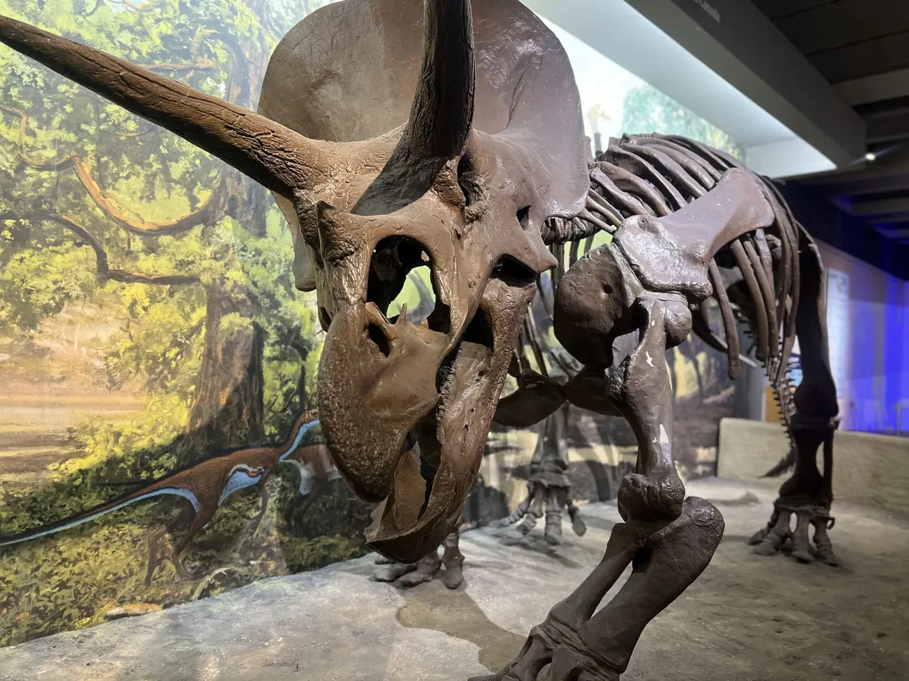 El Museum of Science celebra el Día de los Muertos con la proyección de la película de Disney «Coco»