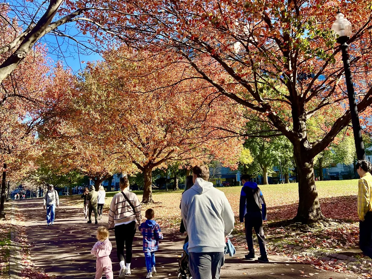 ¿Qué hacer en Boston esta semana? Del 11 al 17 de noviembre