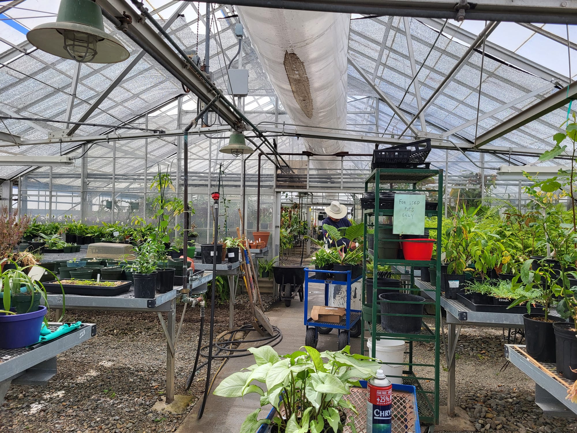 Greenhouse with plants.