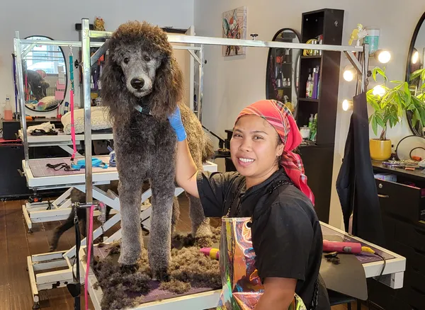 Groomer