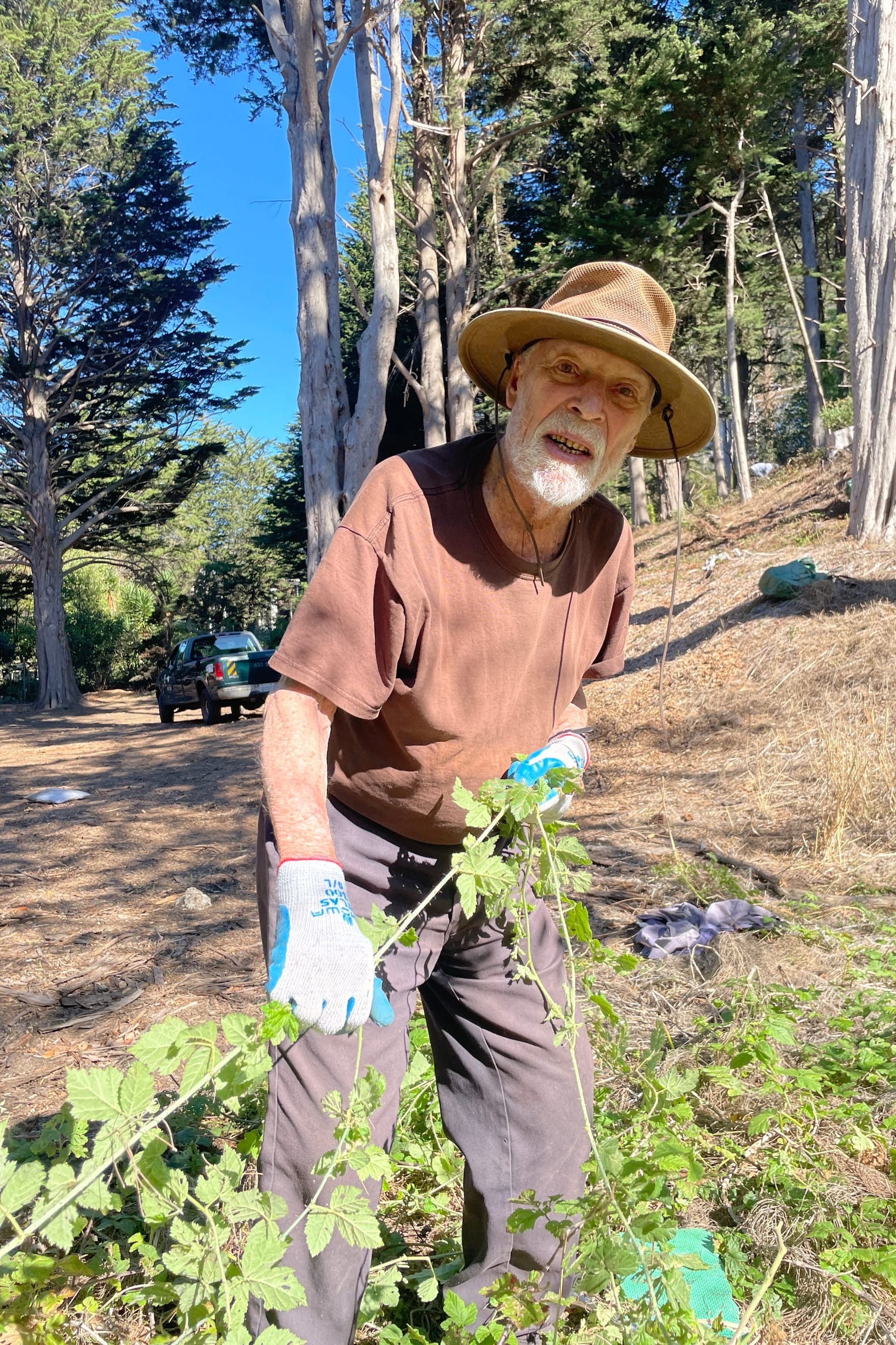 Man pulling weeds.