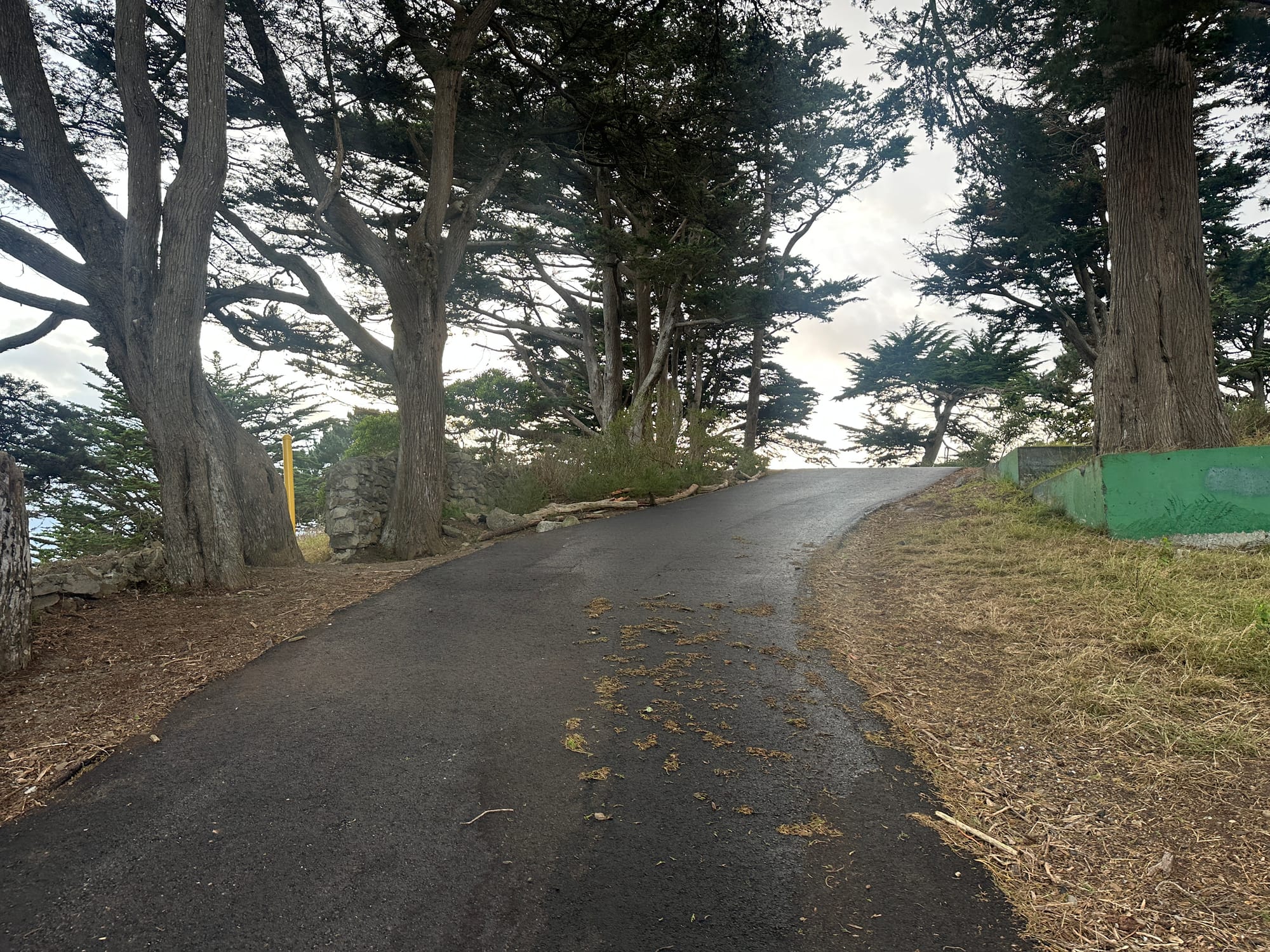 Pavement.