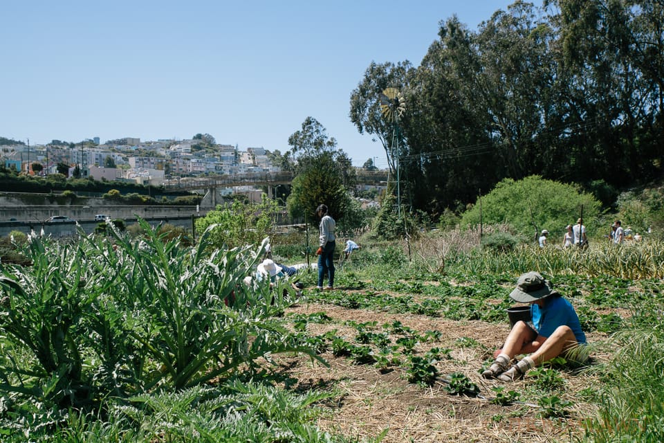 San Francisco's Greater Ingleside Events: April 21 – 27, 2026