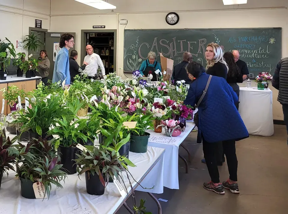 Plant Sale, ¡Cuba Vive! And Other Greater Inglesid Events For May 5 – 11, 2026