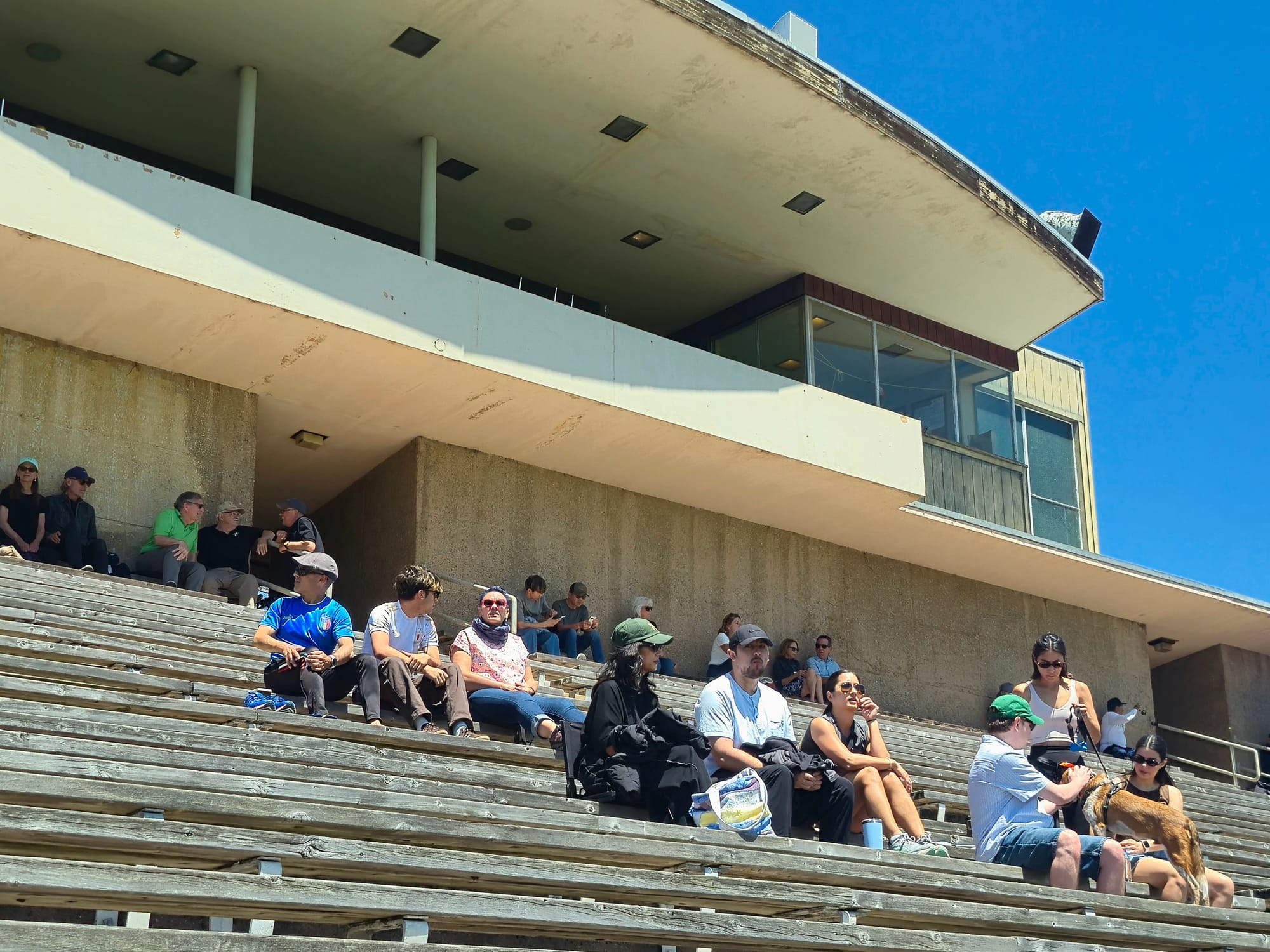 People in stadium stands.