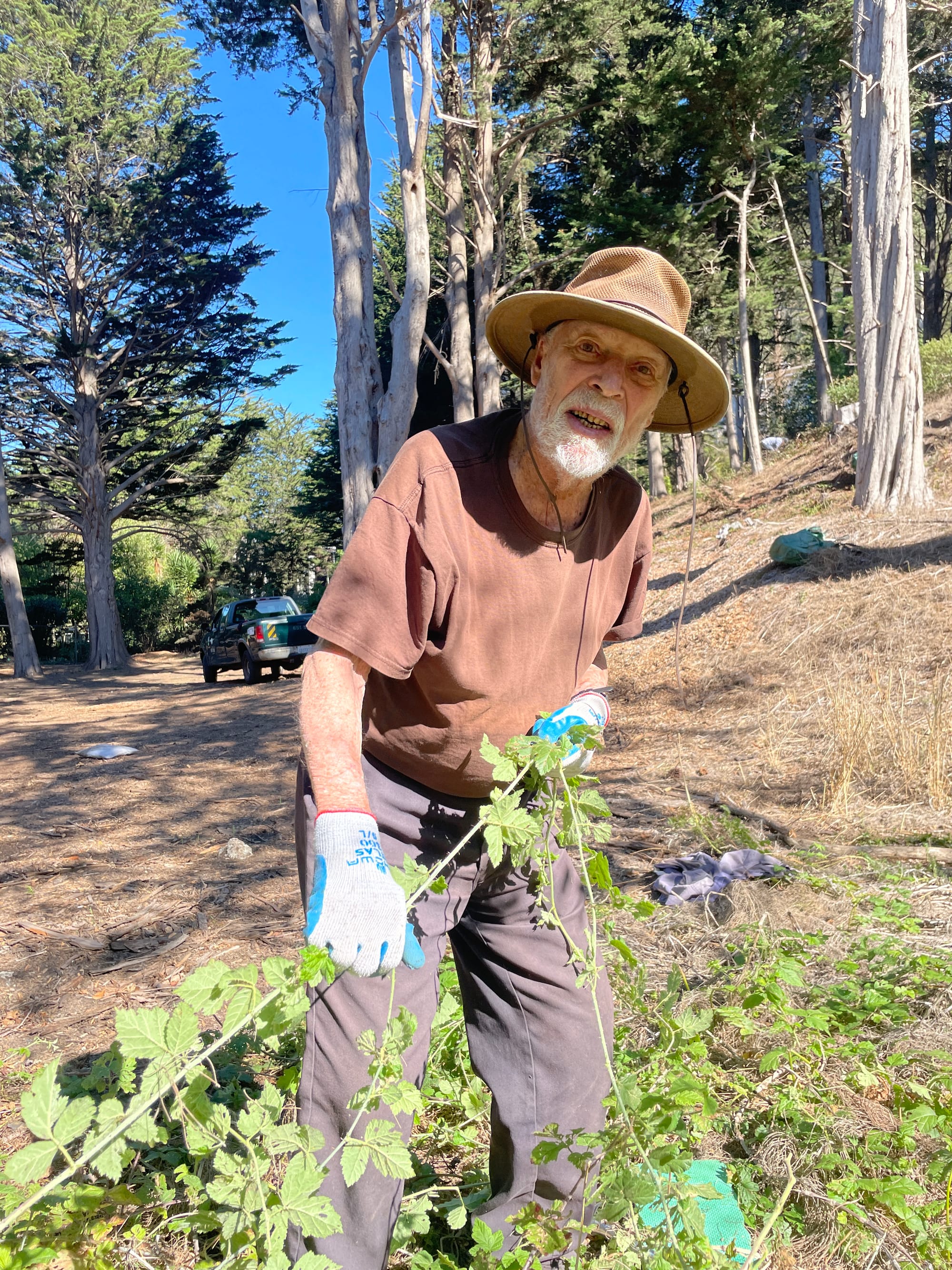 A man pulling weeds.