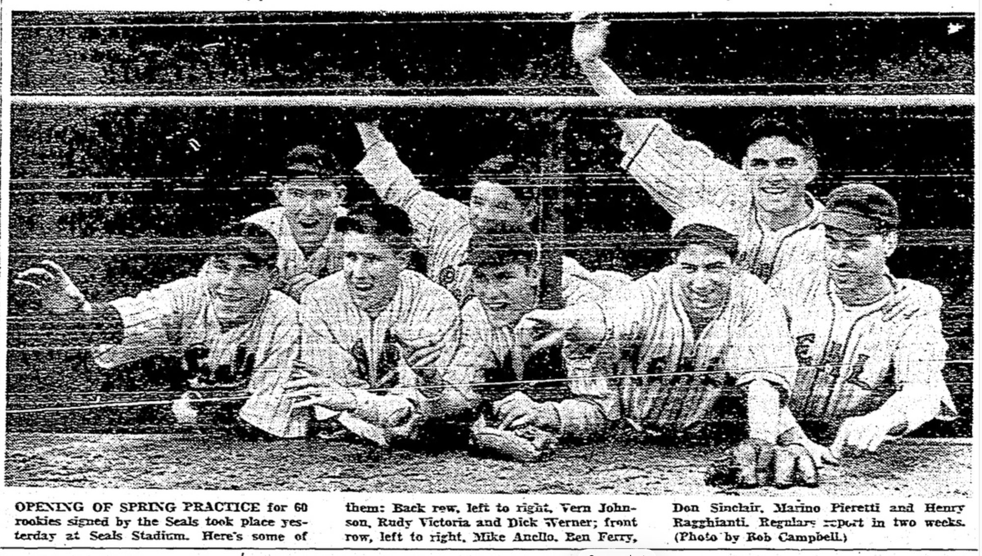 Baseball team in the dugout.