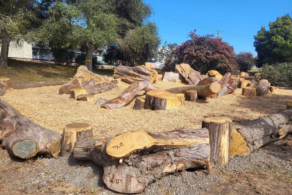 Logs.