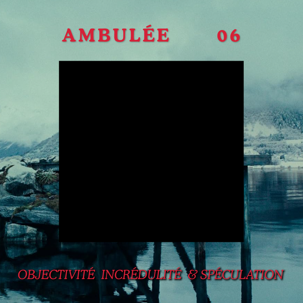 Ambulée 6 : Fjord