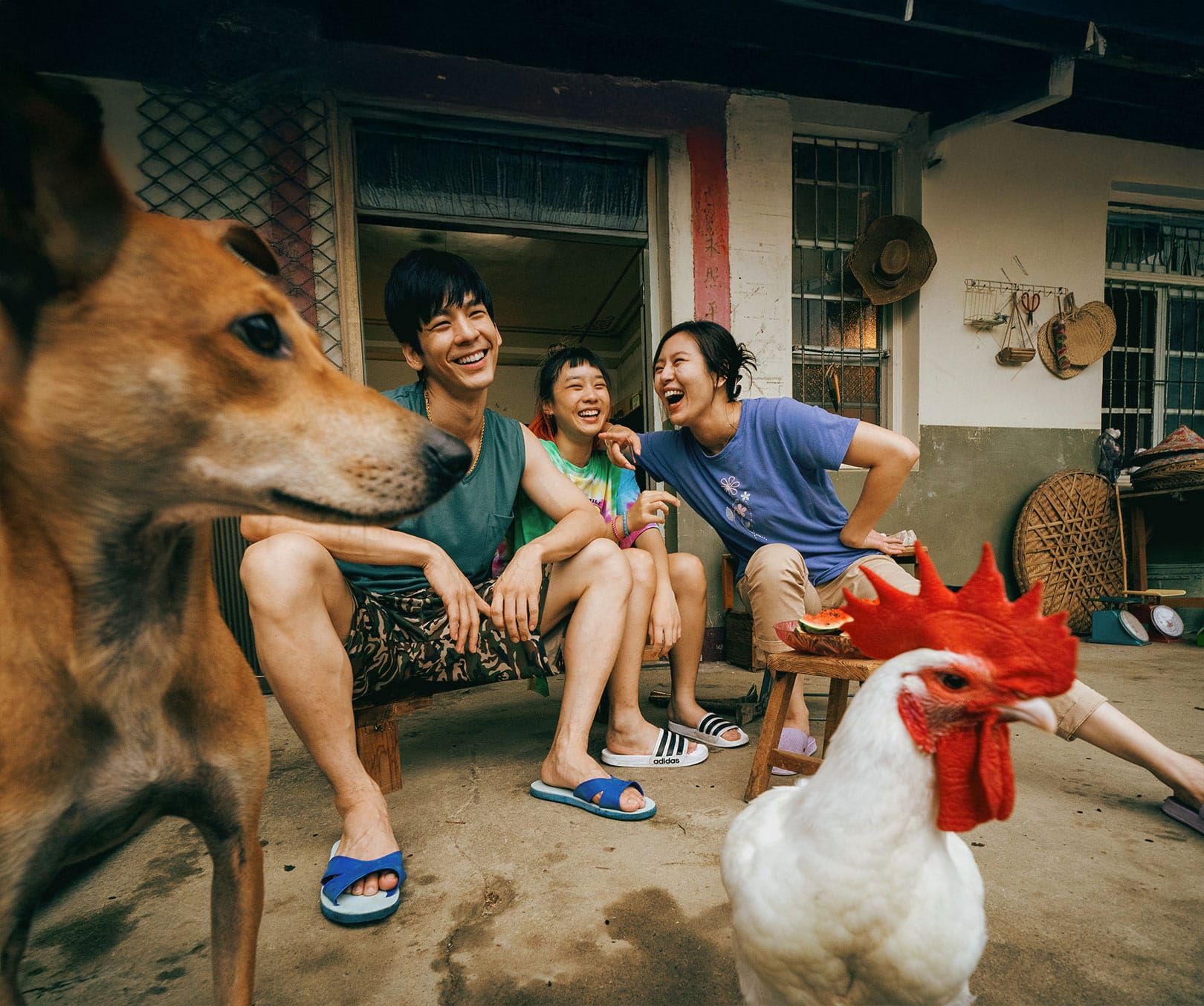 ‘Salli’ Exposes the Quiet Desperation of Online Romance