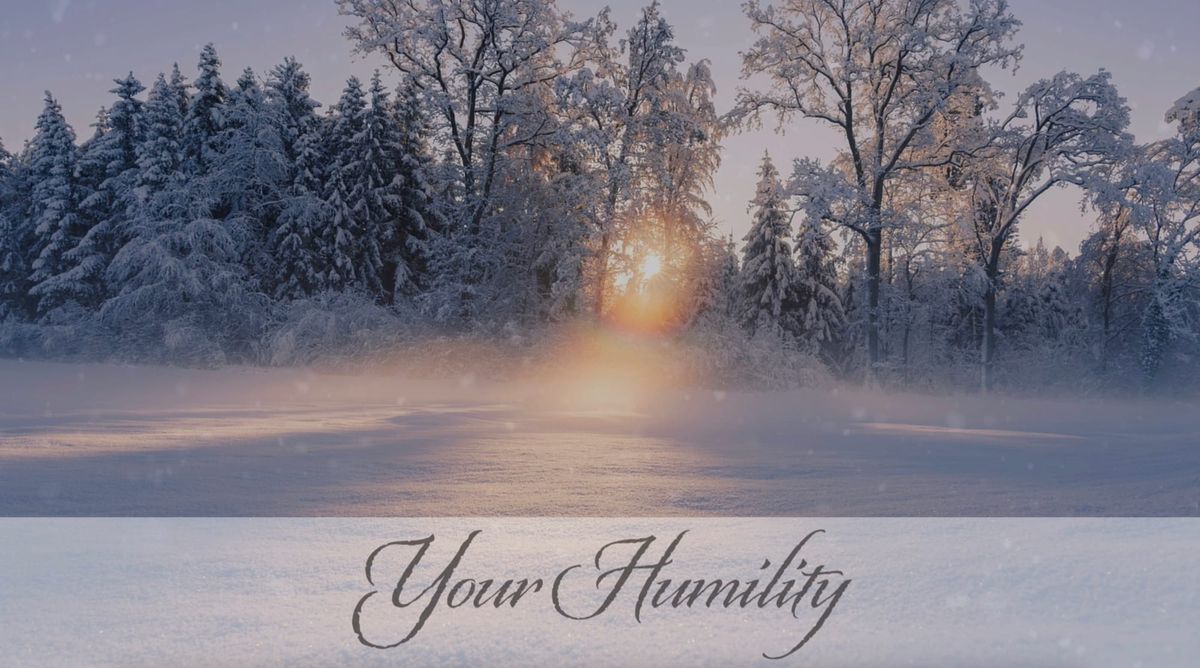 9th Day of Christmas