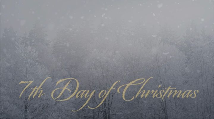 7th Day of Christmas