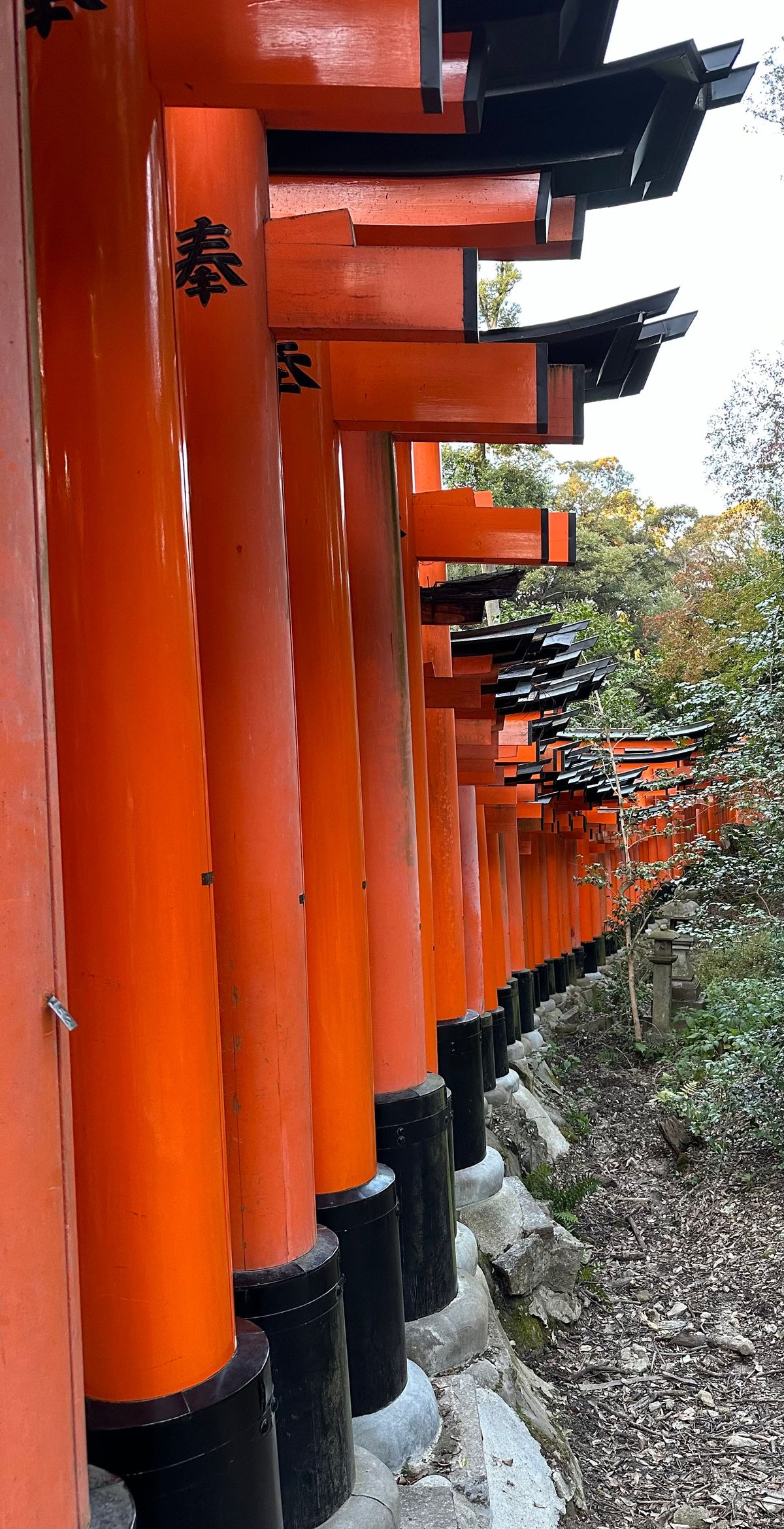 Pic by me. Japan